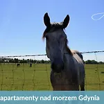 Laba - Basen, Blisko Plazy, Cisza, Taras, Parking, Bezplatne Wifi, Wyjatkowy! * Gdynia