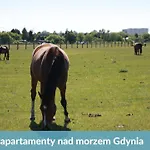 Laba - Basen, Blisko Plazy, Cisza, Taras, Parking, Bezplatne Wifi, Wyjatkowy!