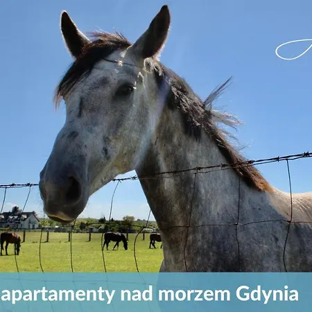 Laba - Basen, Blisko Plazy, Cisza, Taras, Parking, Bezplatne Wifi, Wyjatkowy! * Gdynia