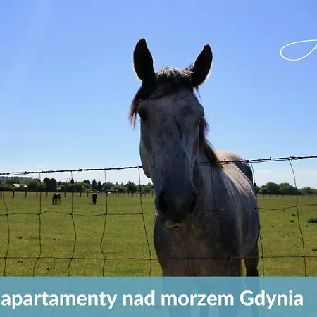 Laba - Basen, Blisko Plazy, Cisza, Taras, Parking, Bezplatne Wifi, Wyjatkowy! * Gdynia