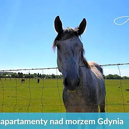Laba - Basen, Blisko Plazy, Cisza, Taras, Parking, Bezplatne Wifi, Wyjatkowy! Gdyně